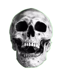 Haddi Troll Face Png Images Free Download