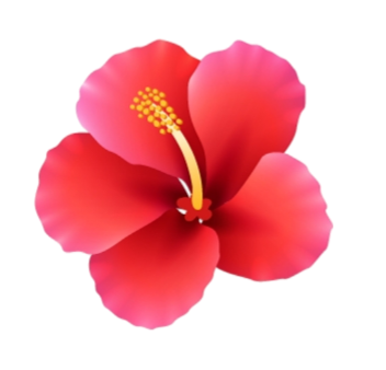 Hibiscus Flower Png HD Image