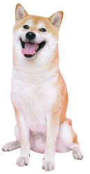 Happy Dog Png​