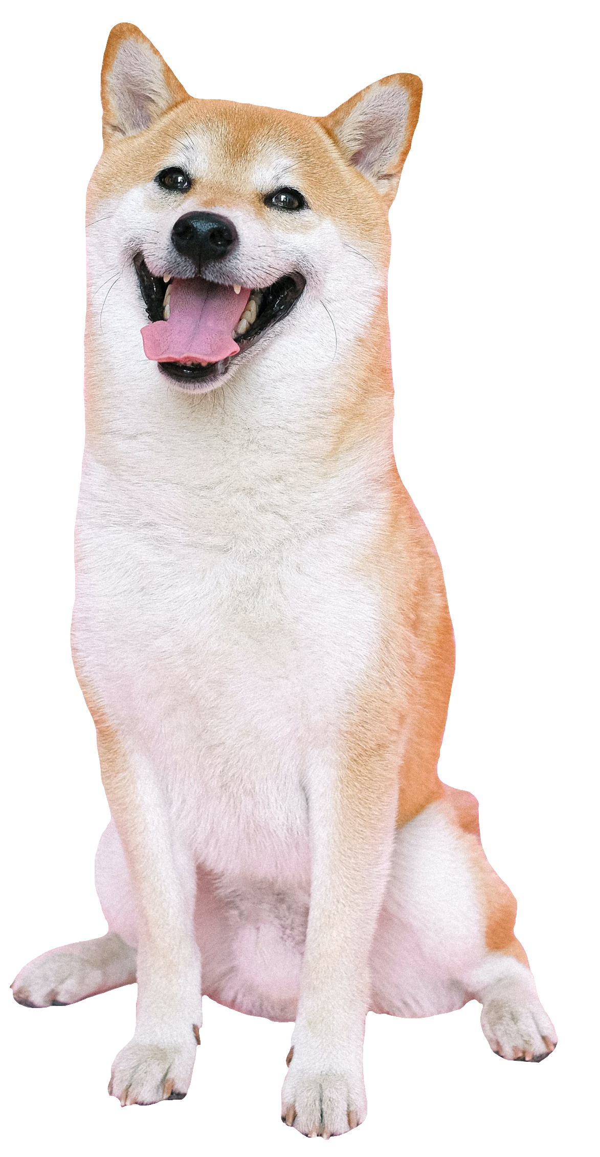 Happy Dog Png​