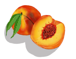Peach Fruit Png Clipart