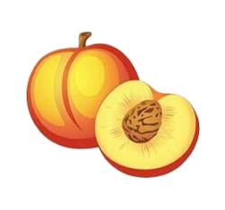 Peach Fruit Png Photos